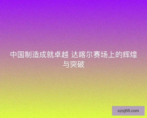 中国制造成就卓越 达喀尔赛场上的辉煌与突破